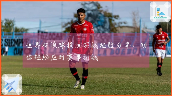 世界杯滚球投注实战经验分享，助你轻松应对赛事挑战