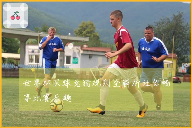 世界杯买球竞猜规则全解析让你畅享比赛乐趣
