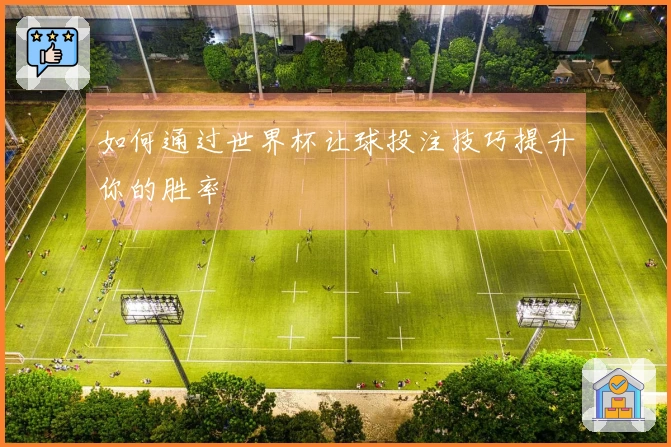 如何通过世界杯让球投注技巧提升你的胜率