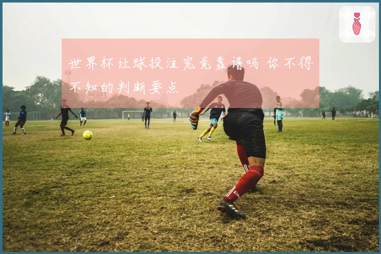 世界杯让球投注究竟靠谱吗 你不得不知的判断要点