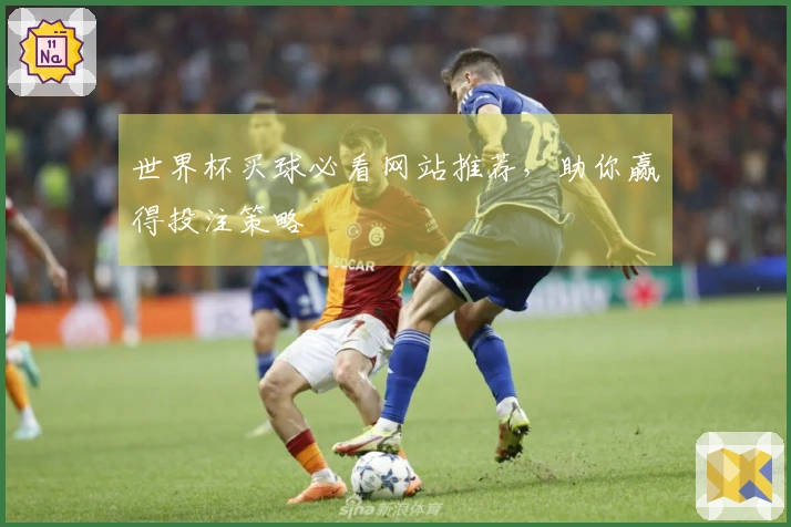 世界杯买球必看网站推荐，助你赢得投注策略