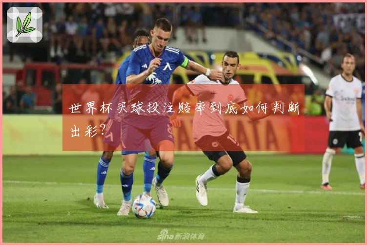 世界杯买球投注赔率到底如何判断出彩？