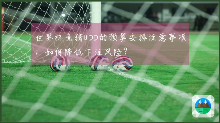 世界杯竞猜app的预算安排注意事项，如何降低下注风险？