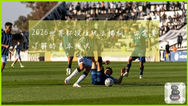 2026世界杯投注玩法揭秘，你需要了解的基本知识
