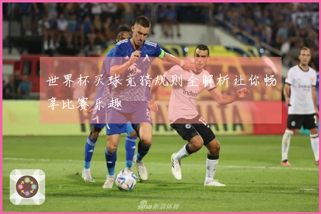 世界杯买球竞猜规则全解析让你畅享比赛乐趣