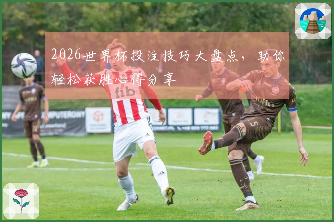 2026世界杯投注技巧大盘点，助你轻松获胜心得分享