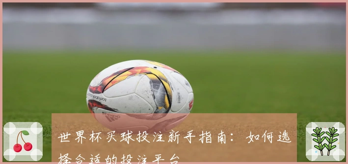 世界杯买球投注新手指南：如何选择合适的投注平台
