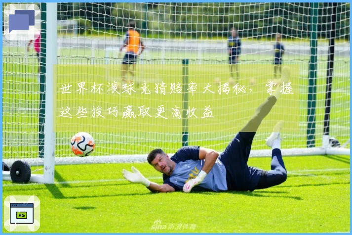 世界杯滚球竞猜赔率大揭秘，掌握这些技巧赢取更高收益