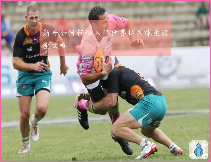 新手如何轻松入门世界杯买球竞猜全攻略