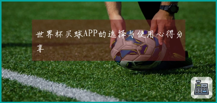 世界杯买球APP的选择与使用心得分享
