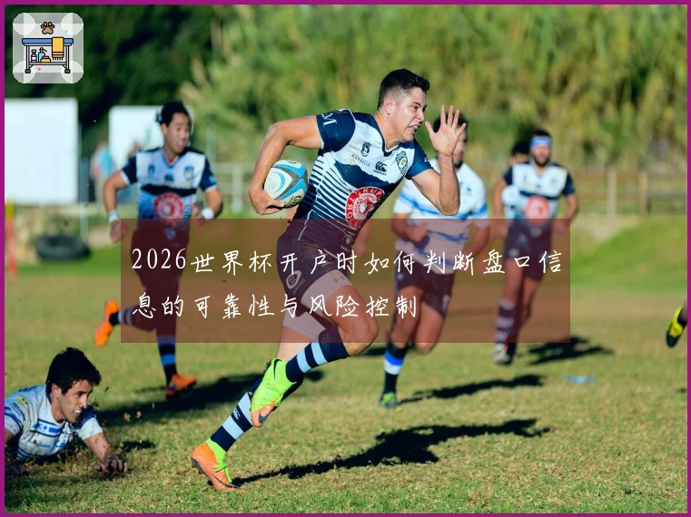 2026世界杯开户时如何判断盘口信息的可靠性与风险控制