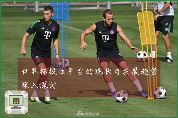 世界杯投注平台的现状与发展趋势深入探讨