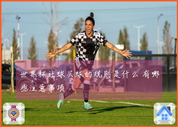 世界杯让球买球的规则是什么 有哪些注意事项
