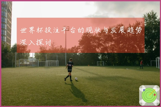 世界杯投注平台的现状与发展趋势深入探讨