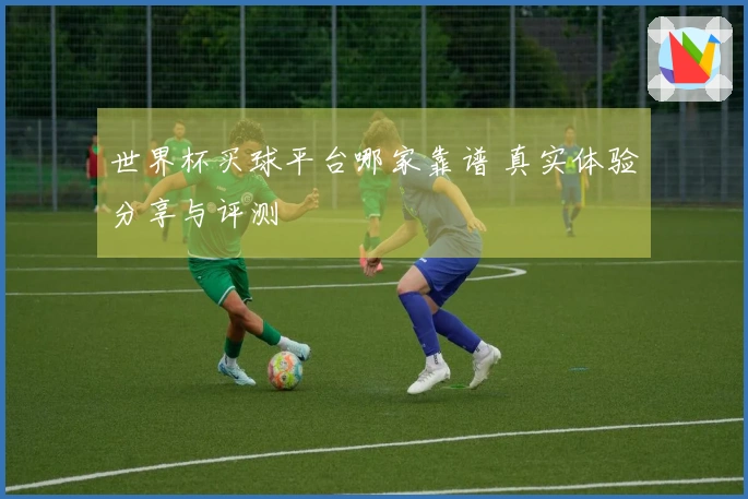 世界杯买球平台哪家靠谱 真实体验分享与评测