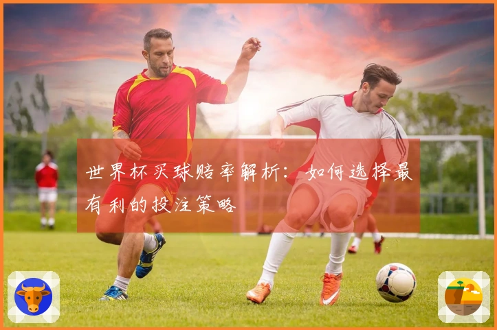 世界杯买球赔率解析：如何选择最有利的投注策略